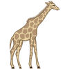 National Animal Image