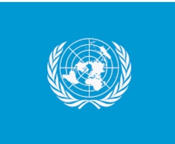 Pls join the United nations 2