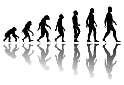 National Animal Image